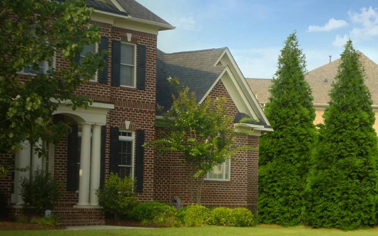 Fast Growing Trees